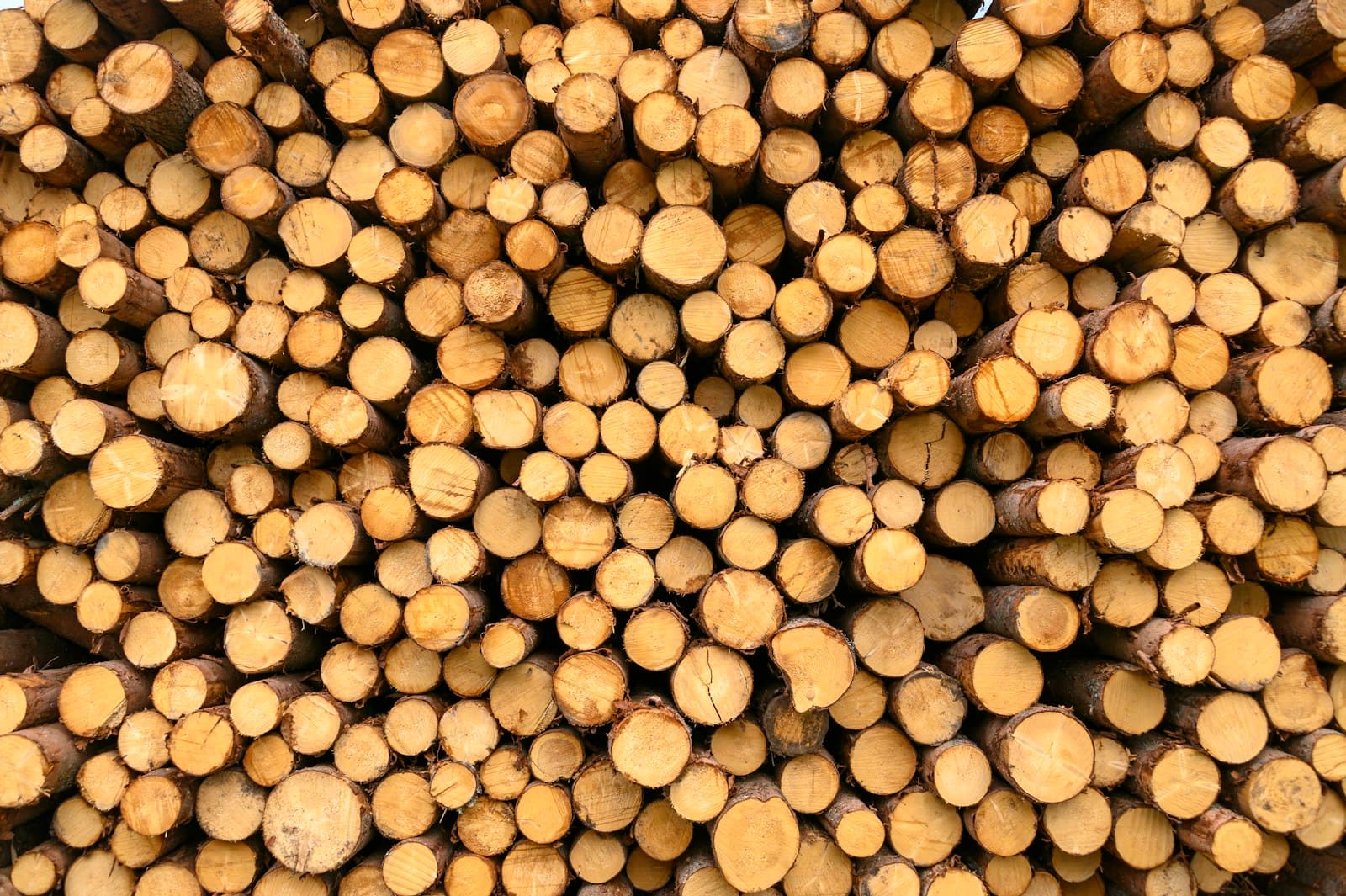 Gestapelte braune Holzstämme